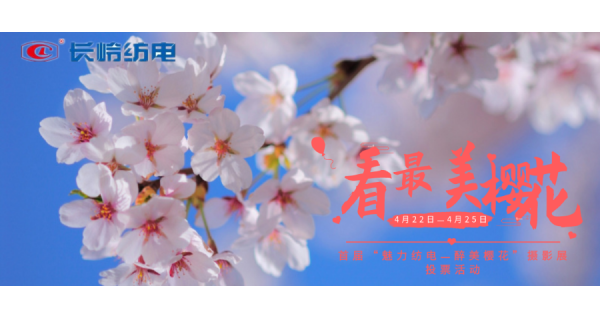 “魅力紡電 醉美櫻花”攝影作品網(wǎng)絡(luò )投票